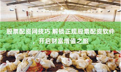 股票配资网技巧 解锁正规股票配资软件，开启财富增值之旅
