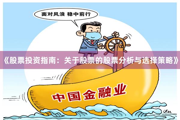 《股票投资指南：关于股票的股票分析与选择策略》